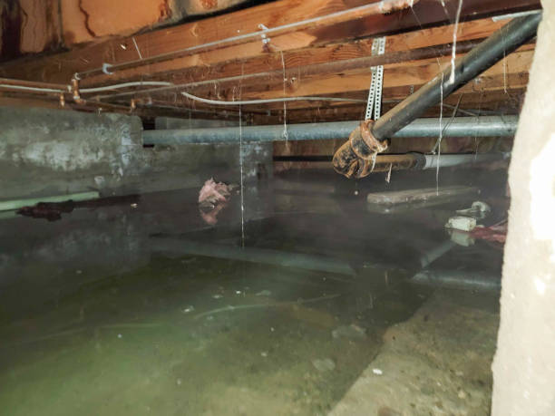 Best Water damage restoration near me  in Clarion, IA