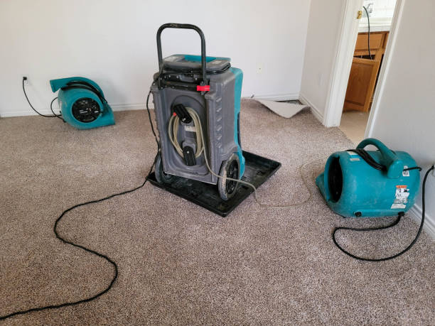 Best Carpet water damage restoration  in Clarion, IA