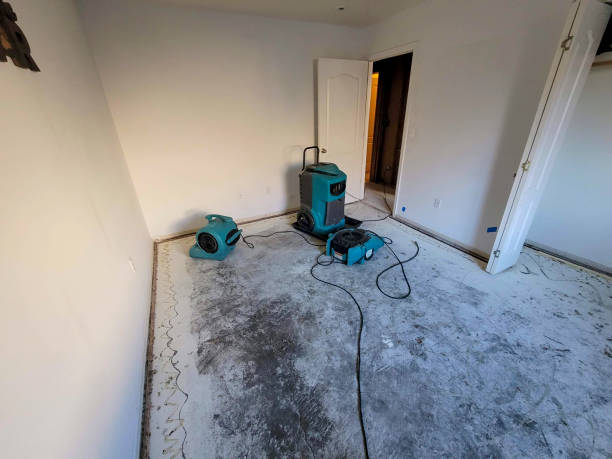 Carpet water damage restoration in IA