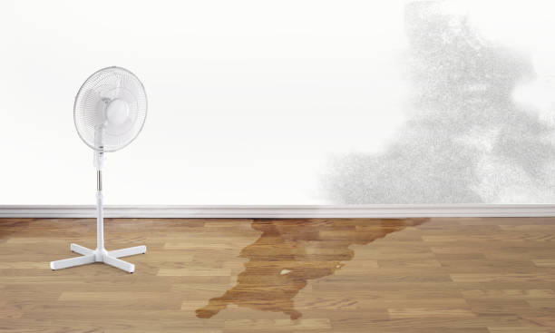 Best Flooded house restoration  in Clarion, IA