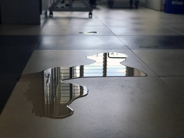 Best Carpet water damage restoration  in Clarion, IA