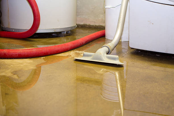 Best Water damage contractors near me  in Clarion, IA