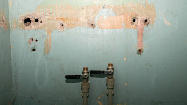 Best 24/7 water damage repair  in Clarion, IA