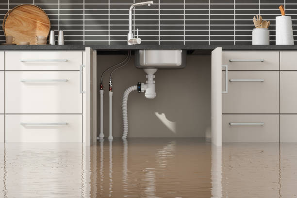 Best Local water damage restoration  in Clarion, IA