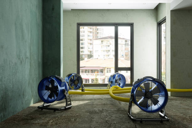 Professional Water damage restoration in IA